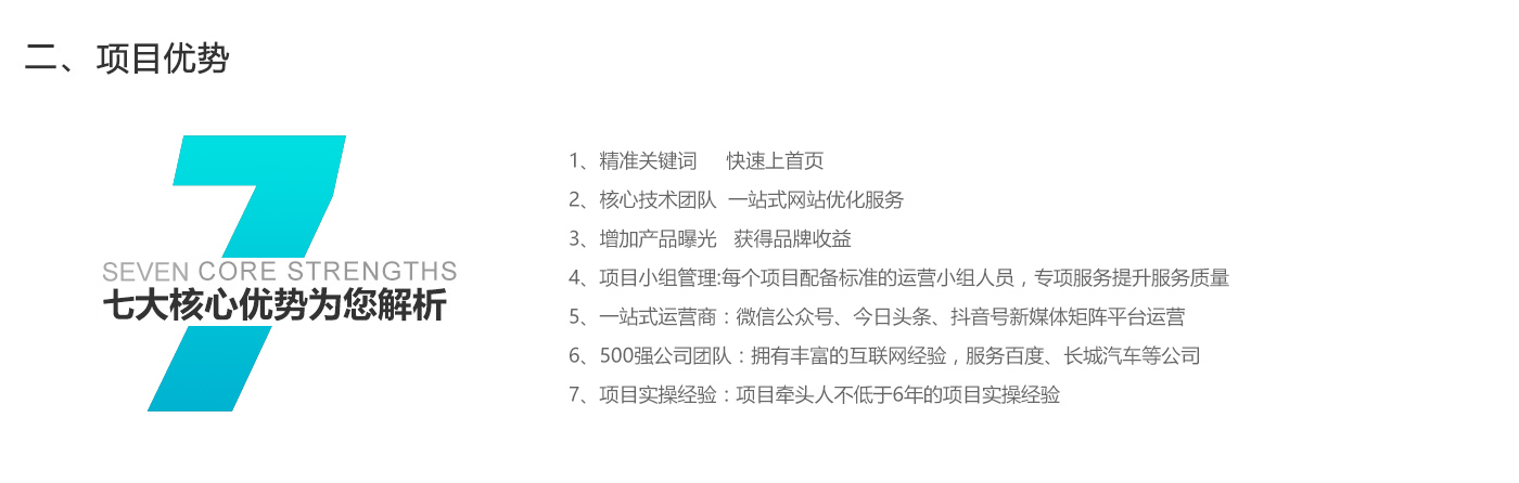 軟件開發(fā)-項目優(yōu)勢